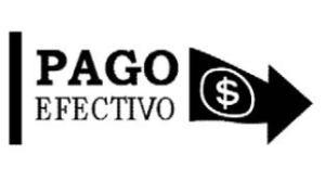 PAGO Efectivo Logo